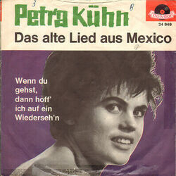 Wenn Du Gehst Dann Hoff Ich Auf Ein Wiedersehn Chords by Petra Kühn