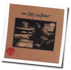 Crawling Back To You Chords by Tom Petty