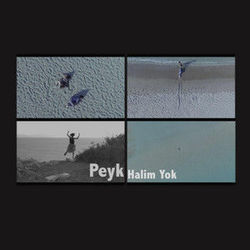 Halim Yok Chords by Peyk