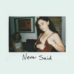 Never Said by Liz Phair