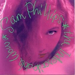 I Don't Want To Fall In Love Chords by Sam Phillips