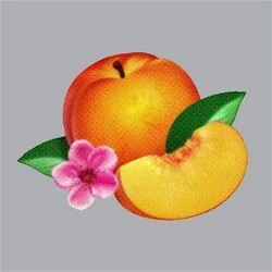Bourgeois Tab by Phoenix