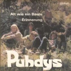 Alt Wie Ein Baum Chords by Phudys