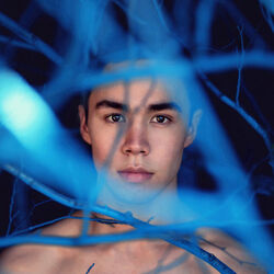 Pim Stones chords for Neon lights