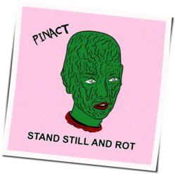 Limbs Chords by Pinact