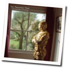 Barely Breathing Tab by The Pineapple Thief