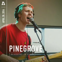 Need 2 Chords by Pinegrove