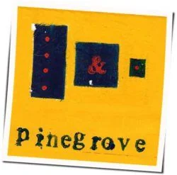 The Alarmist Chords by Pinegrove