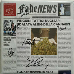 Barfly Chords by Pinguini Tattici Nucleari