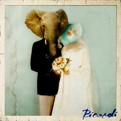 Ricordi Chords by Pinguini Tattici Nucleari