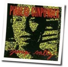 Crazyhorse Chords by Pinhead Gunpowder