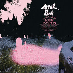 Feels Like Heaven Chords by Ariel Pink