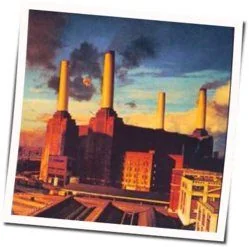 Pigs On The Wing Part 1 Chords by Pink Floyd