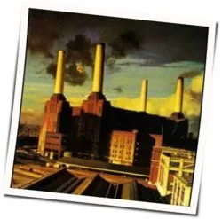 Pigs Three Different Ones Chords by Pink Floyd