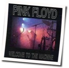Welcome To The Machine Tab by Pink Floyd