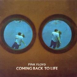 Coming Back To Life by Pink Floyd