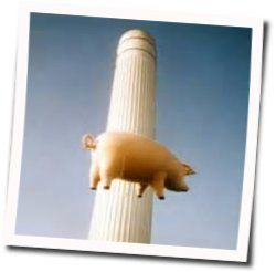 Pigs Tab by Pink Floyd