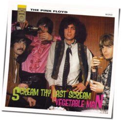 Vegetable Man Tab by Pink Floyd