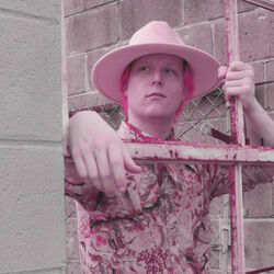 The Big Black Snake Chords by Pink Williams