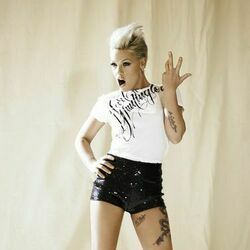 Stop Falling Chords by P!nk