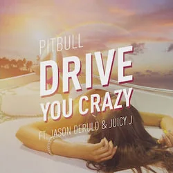 Drive You Crazy Chords by Pitbull