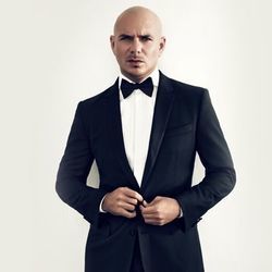 Can't Have Chords by Pitbull