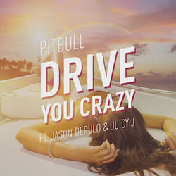 Drive You Crazy Chords by Pitbull