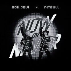 Now Or Never Chords by Pitbull