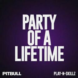 Party Of A Lifetime by Pitbull