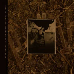 Break My Body Bass Tab by Pixies