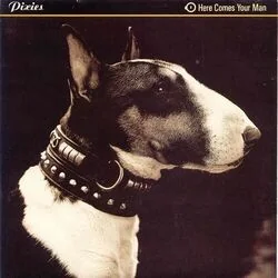 Here Comes Your Man Bass Tab by Pixies