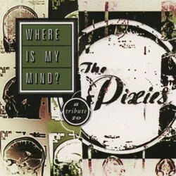 Where Is My Mind Bass Tab by Pixies