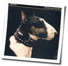 Here Comes Your Man Tabs by The Pixies