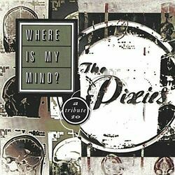 Where Is My Mind Ukulele by The Pixies