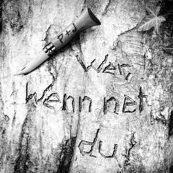 Wer Wenn Net Du Tab by Pizzera And Jaus