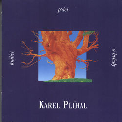 Karel Plihal tabs and guitar chords