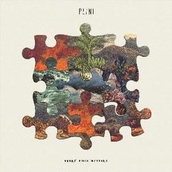 Every Piece Matters Tabs by Plini