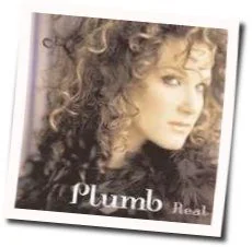 Damaged Chords by Plumb