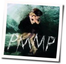 Lautturi Chords by PMMP