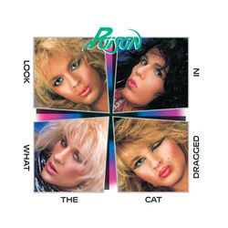 Look What The Cat Dragged In Chords by Poison
