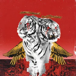 So Strange Bass Tab by Polyphia