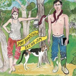 Calico Jim Chords by Pony Bradshaw