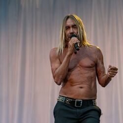 Comments by Iggy Pop