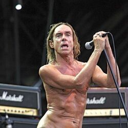 King Of The Dogs by Iggy Pop