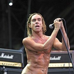 King Of The Dogs Chords by Iggy Pop