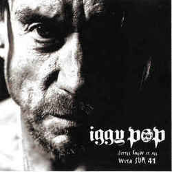 Little Know It All Chords by Iggy Pop