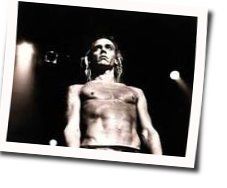 Paraguay by Iggy Pop
