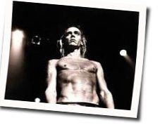 Paraguay Tab by Iggy Pop