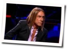 Social Life Chords by Iggy Pop