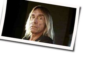 Vulture Chords by Iggy Pop